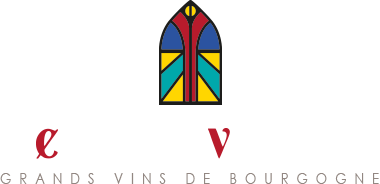 Logo Camille Villard